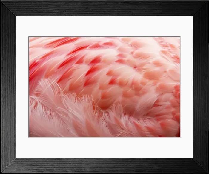 Framed Print : Picture No. 10883959 Framed Print : Picture No. 10883959