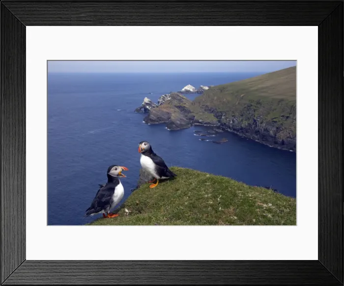 Framed Print : Picture No. 10883984 Framed Print : Picture No. 10883984