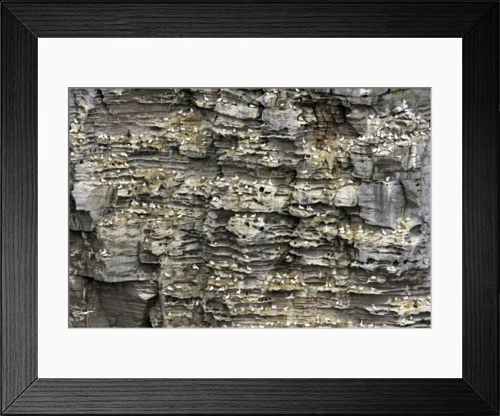 Framed Print : Picture No. 10883996 Framed Print : Picture No. 10883996