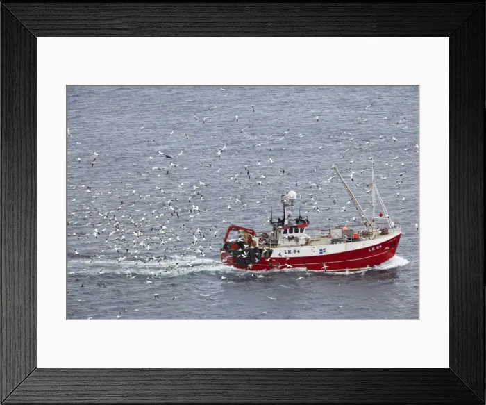 Framed Print : Picture No. 10883995 Framed Print : Picture No. 10883995