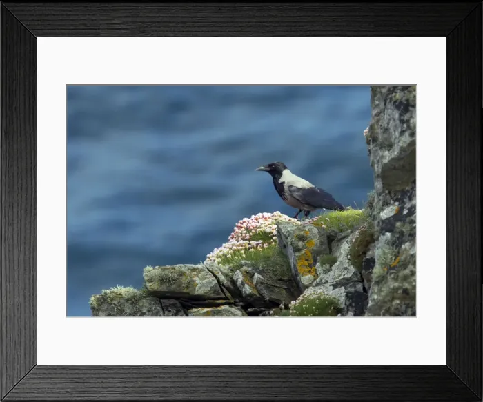 Framed Print : Picture No. 10884002 Framed Print : Picture No. 10884002