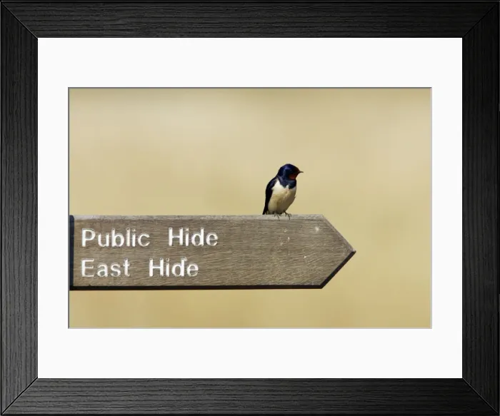 Framed Print : Picture No. 10884010 Framed Print : Picture No. 10884010