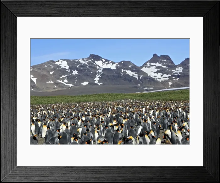 Framed Print : Picture No. 10884505 Framed Print : Picture No. 10884505