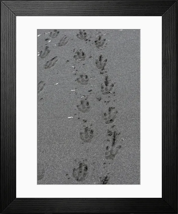 Framed Print : Picture No. 10884528 Framed Print : Picture No. 10884528