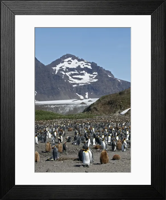 Framed Print : Picture No. 10884538 Framed Print : Picture No. 10884538