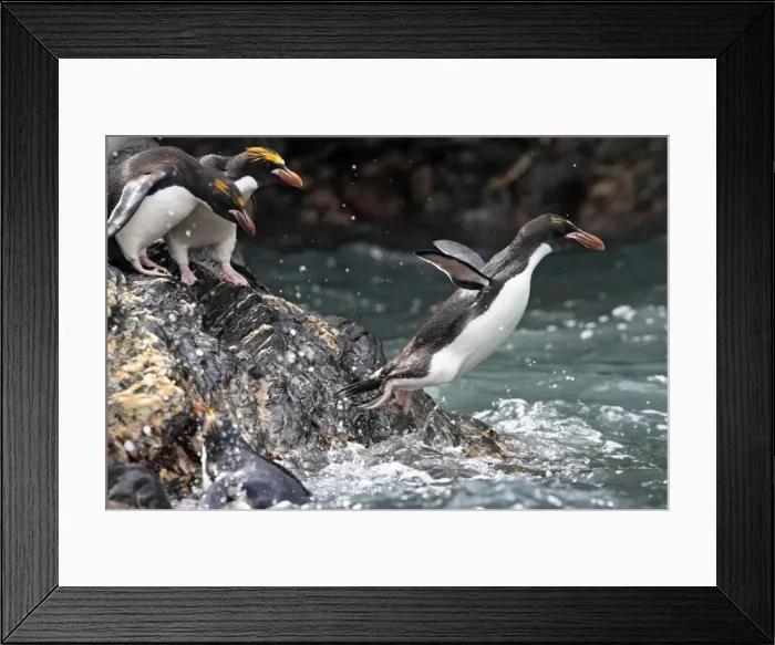 Framed Print : Picture No. 10884632 Framed Print : Picture No. 10884632