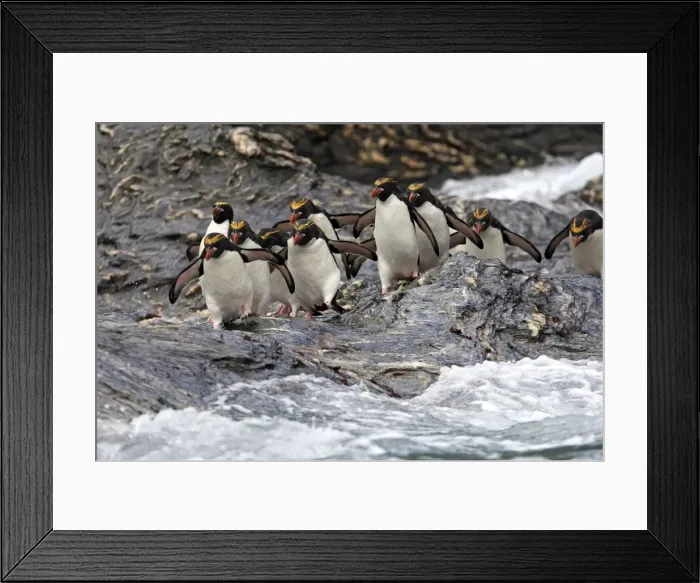 Framed Print : Picture No. 10884630 Framed Print : Picture No. 10884630