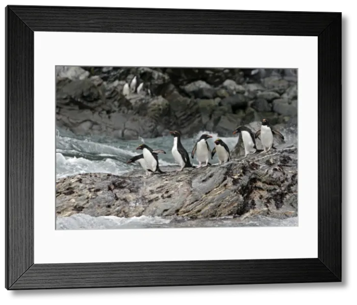 Framed Print : Picture No. 10884648 Framed Print : Picture No. 10884648