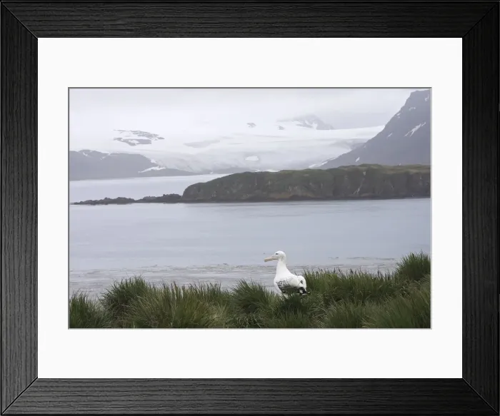 Framed Print : Picture No. 10884682 Framed Print : Picture No. 10884682