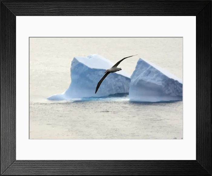 Framed Print : Picture No. 10884685 Framed Print : Picture No. 10884685