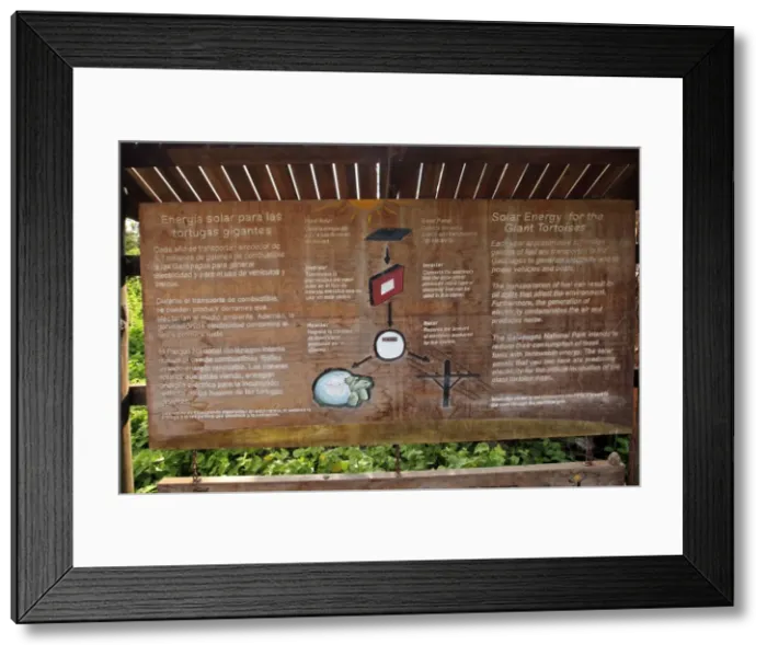 Framed Print : Picture No. 10884952 Framed Print : Picture No. 10884952