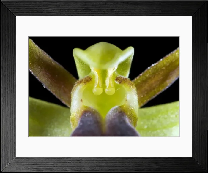 Framed Print : Picture No. 10885015 Framed Print : Picture No. 10885015
