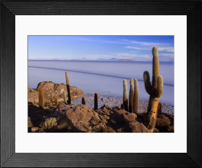 Framed Print : Picture No. 10885041 Framed Print : Picture No. 10885041