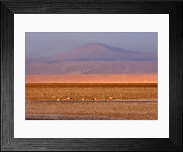 Framed Print : Picture No. 10885037 Framed Print : Picture No. 10885037