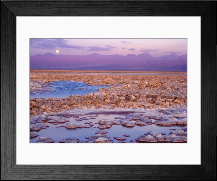 Framed Print : Picture No. 10885036 Framed Print : Picture No. 10885036