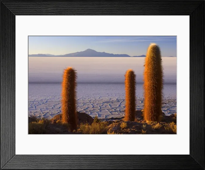 Framed Print : Picture No. 10885039