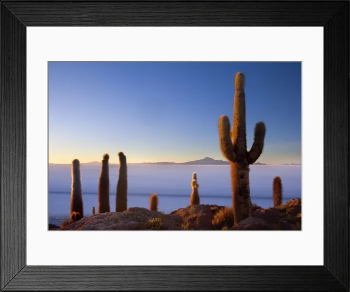 Framed Print : Picture No. 10885040 Framed Print : Picture No. 10885040