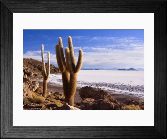 Framed Print : Picture No. 10885042