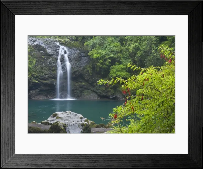 Framed Print : Picture No. 10885046 Framed Print : Picture No. 10885046