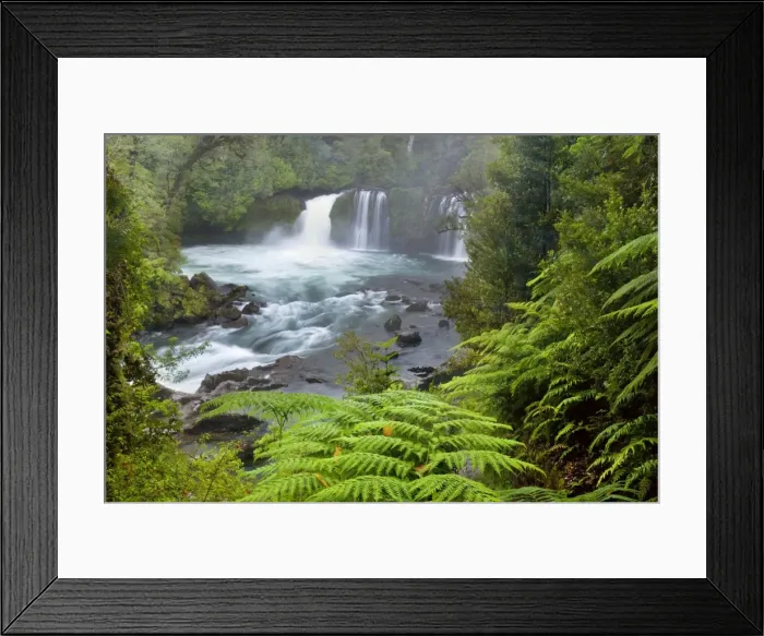 Framed Print : Picture No. 10885048 Framed Print : Picture No. 10885048