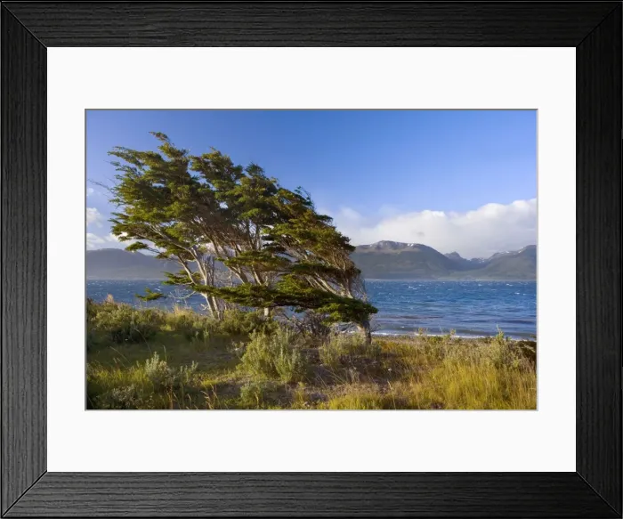 Framed Print : Picture No. 10885058 Framed Print : Picture No. 10885058