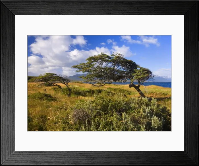 Framed Print : Picture No. 10885059 Framed Print : Picture No. 10885059
