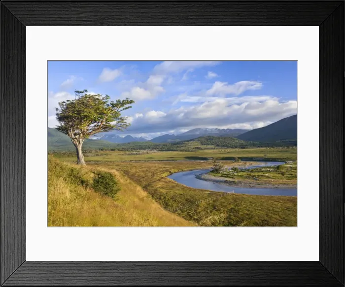 Framed Print : Picture No. 10885060 Framed Print : Picture No. 10885060
