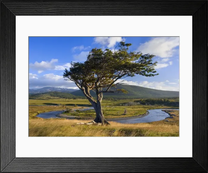Framed Print : Picture No. 10885062