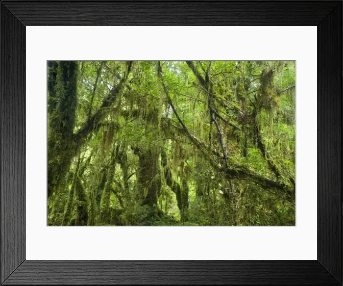 Framed Print : Picture No. 10885072 Framed Print : Picture No. 10885072