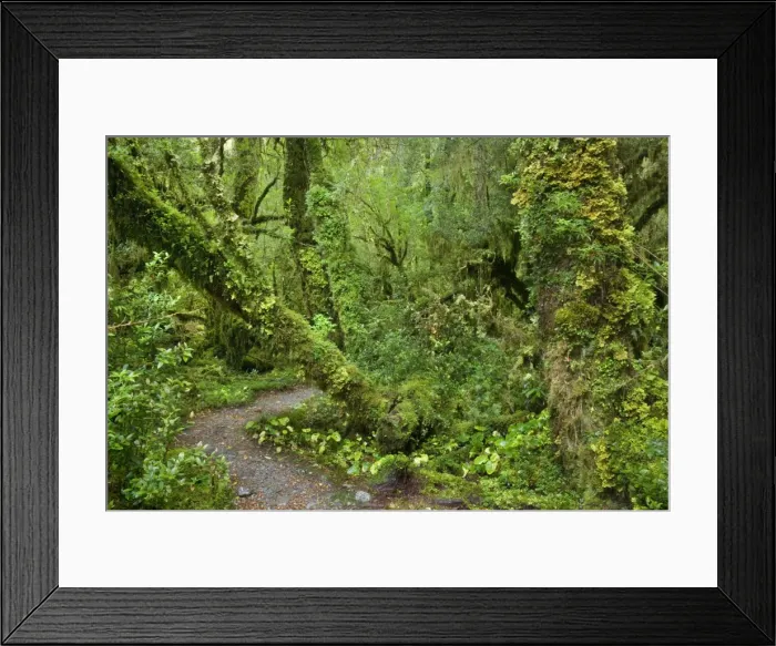 Framed Print : Picture No. 10885069 Framed Print : Picture No. 10885069