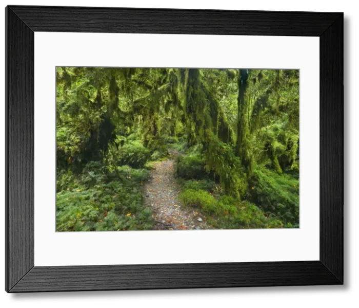 Framed Print : Picture No. 10885071 Framed Print : Picture No. 10885071