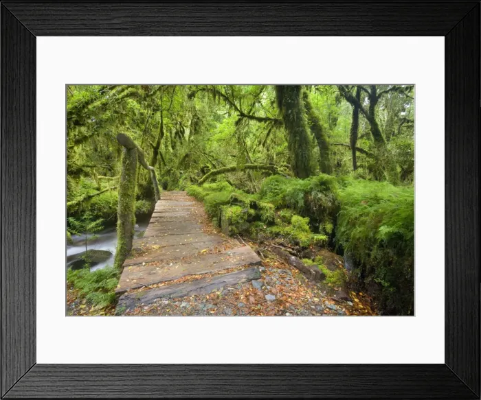 Framed Print : Picture No. 10885073 Framed Print : Picture No. 10885073