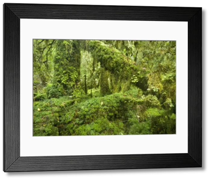 Framed Print : Picture No. 10885070 Framed Print : Picture No. 10885070