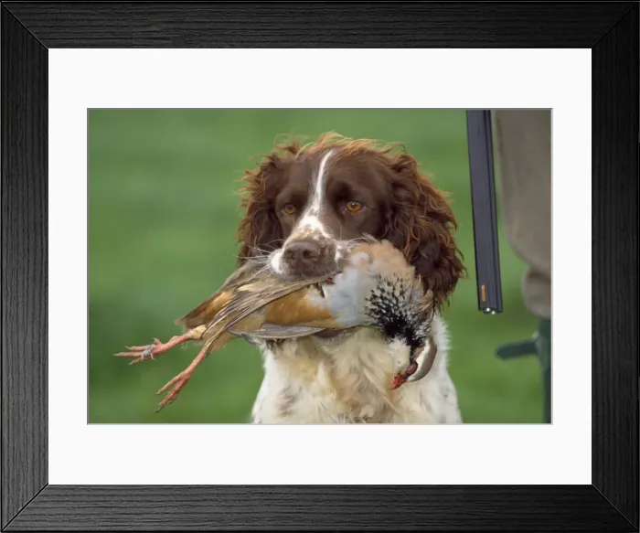 Framed Print : Picture No. 10885137 Framed Print : Picture No. 10885137