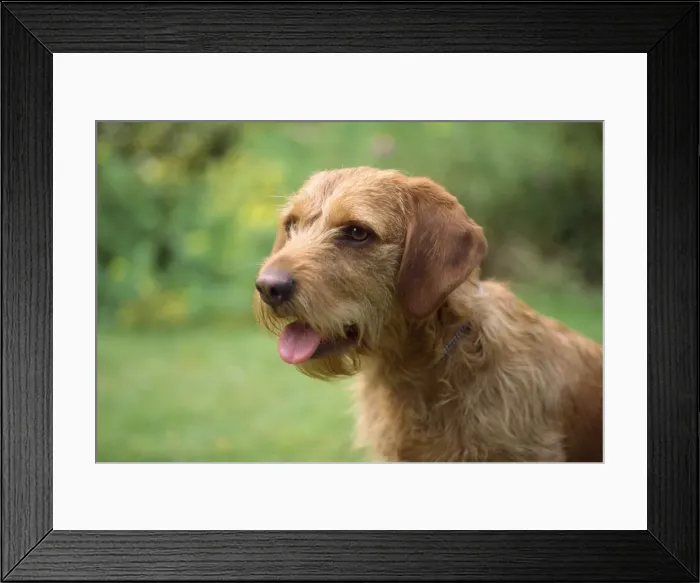 Framed Print : Picture No. 10885140 Framed Print : Picture No. 10885140