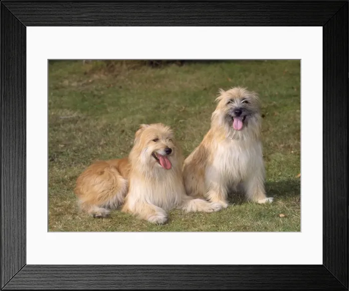 Framed Print : Picture No. 10885145 Framed Print : Picture No. 10885145
