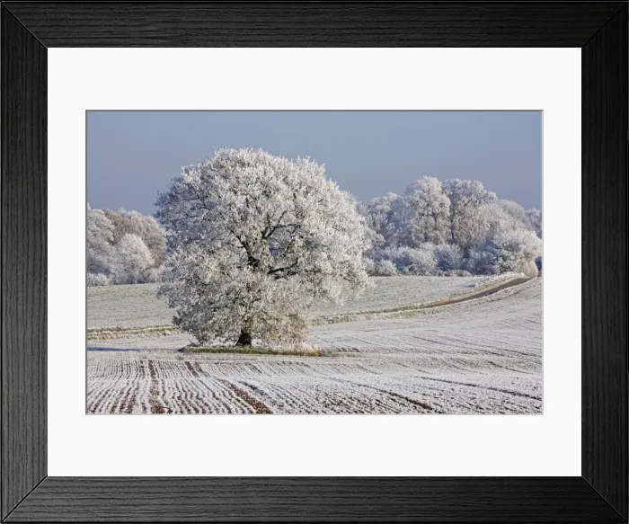 Framed Print : Picture No. 10885152 Framed Print : Picture No. 10885152