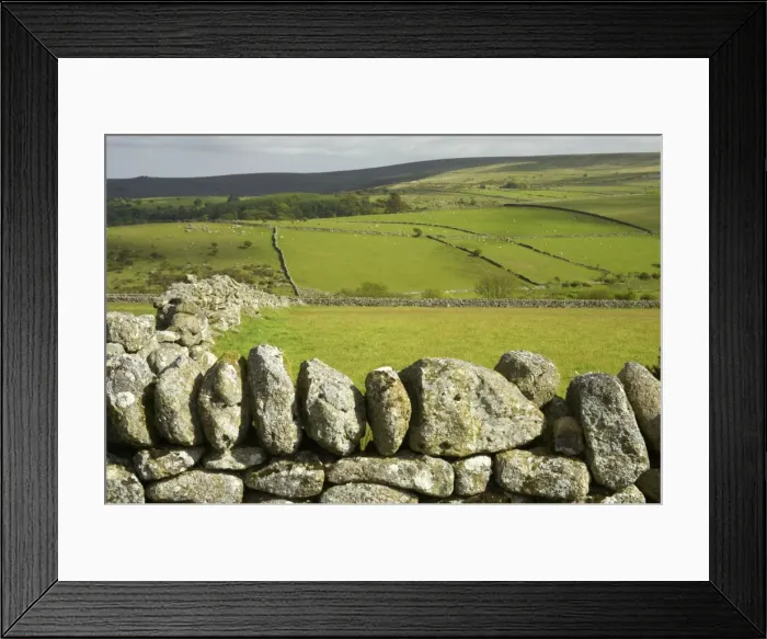 Framed Print : Picture No. 10885168 Framed Print : Picture No. 10885168
