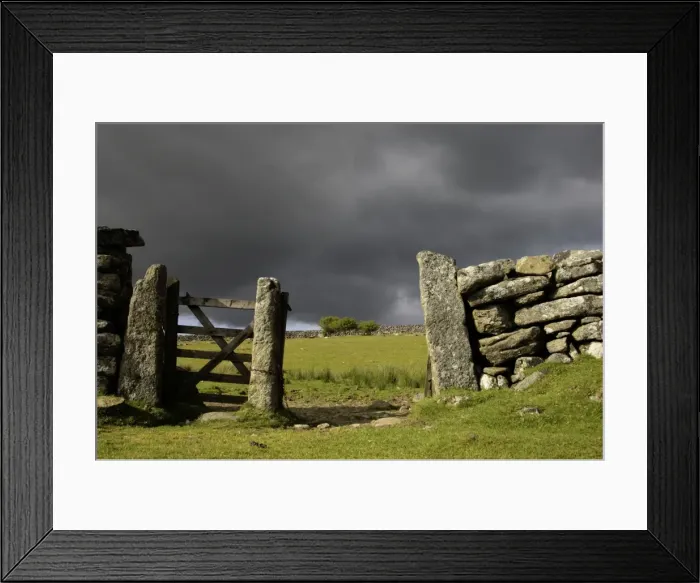 Framed Print : Picture No. 10885169 Framed Print : Picture No. 10885169