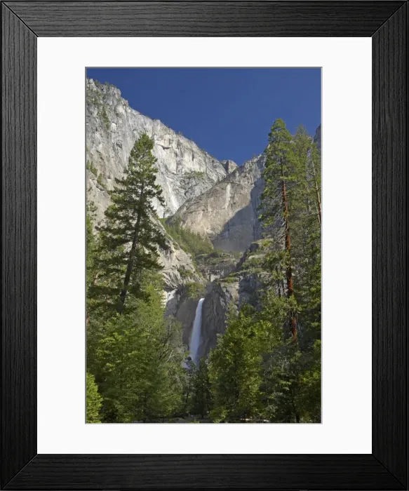Framed Print : Picture No. 10885170 Framed Print : Picture No. 10885170