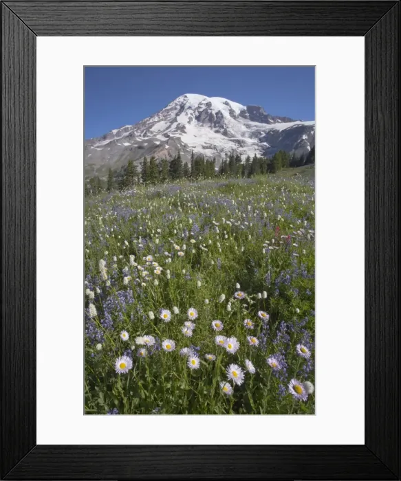 Framed Print : Picture No. 10885184 Framed Print : Picture No. 10885184