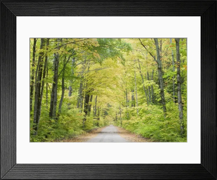 Framed Print : Picture No. 10885241 Framed Print : Picture No. 10885241