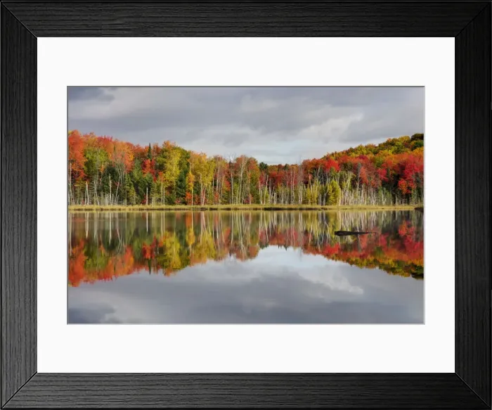 Framed Print : Picture No. 10885243 Framed Print : Picture No. 10885243