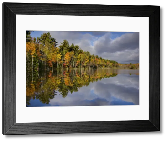 Framed Print : Picture No. 10885242 Framed Print : Picture No. 10885242
