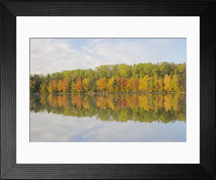 Framed Print : Picture No. 10885248