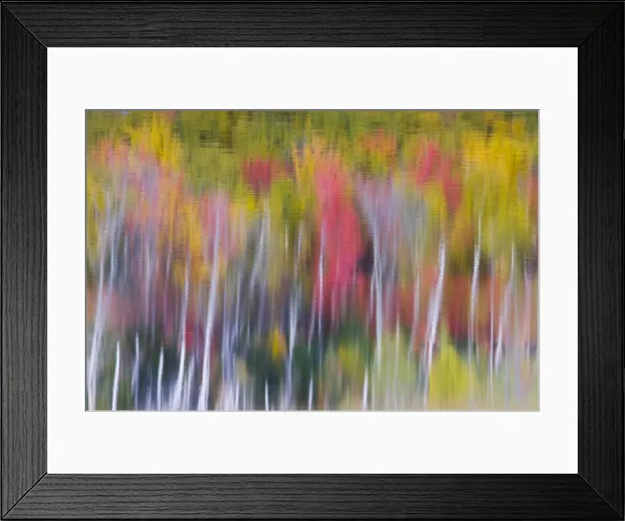 Framed Print : Picture No. 10885247 Framed Print : Picture No. 10885247