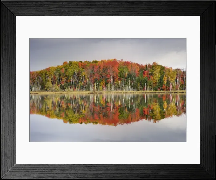 Framed Print : Picture No. 10885244 Framed Print : Picture No. 10885244