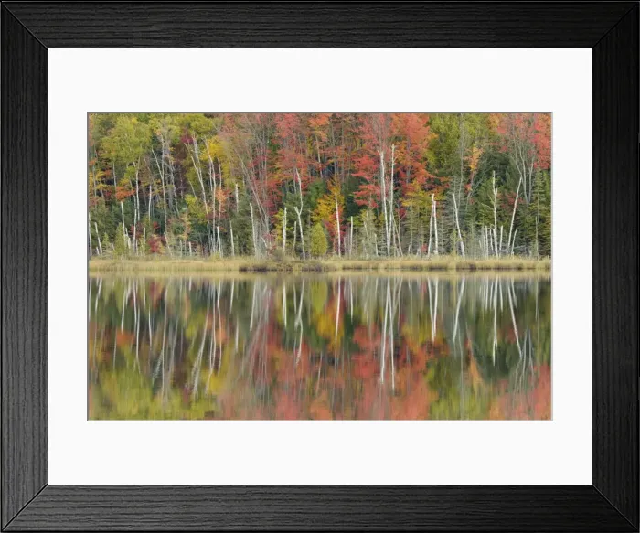 Framed Print : Picture No. 10885245 Framed Print : Picture No. 10885245