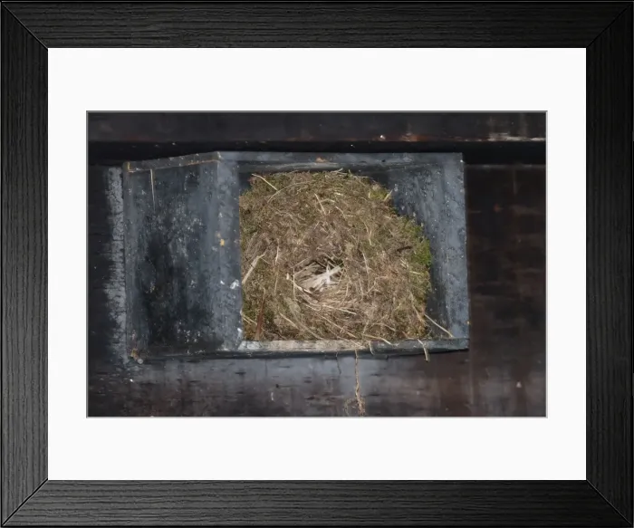Framed Print : Picture No. 10885258 Framed Print : Picture No. 10885258