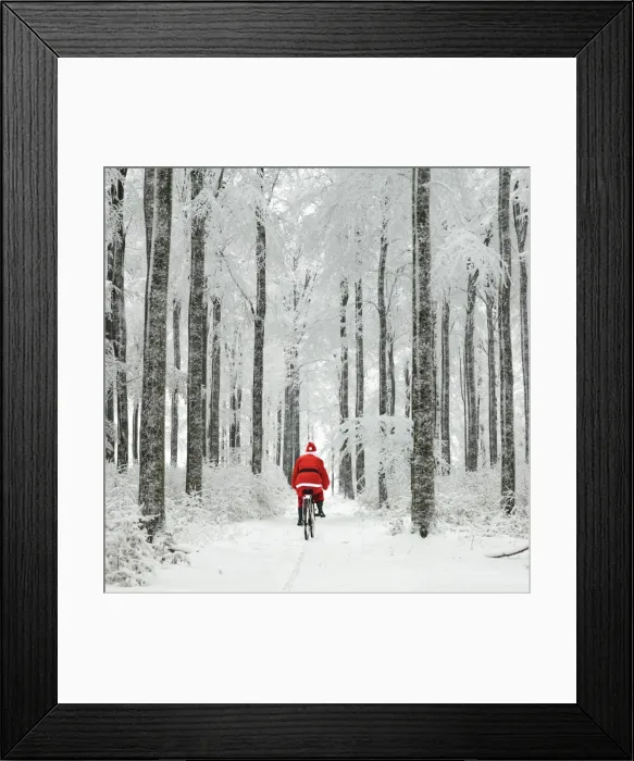 Framed Print : Picture No. 10885991